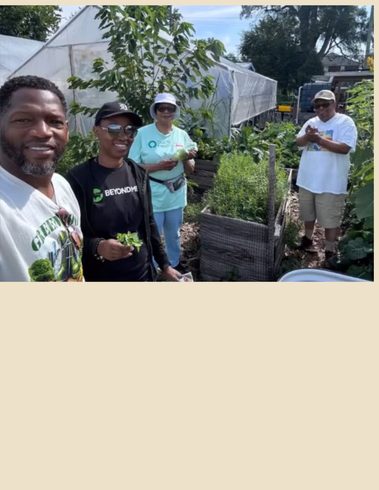 GOD’S Walking Club participants gathering vegetables in an urban garden